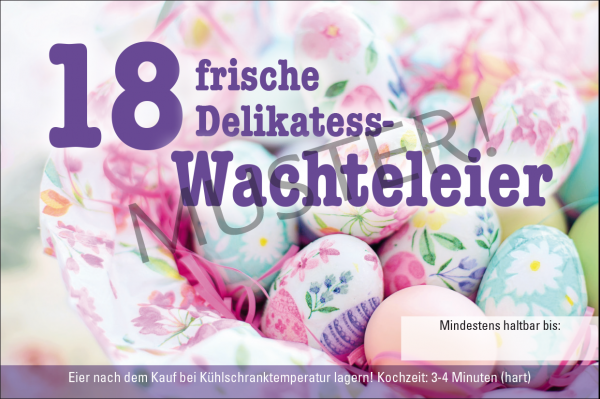 Wachteleier Eierschachteln aus Pappe 